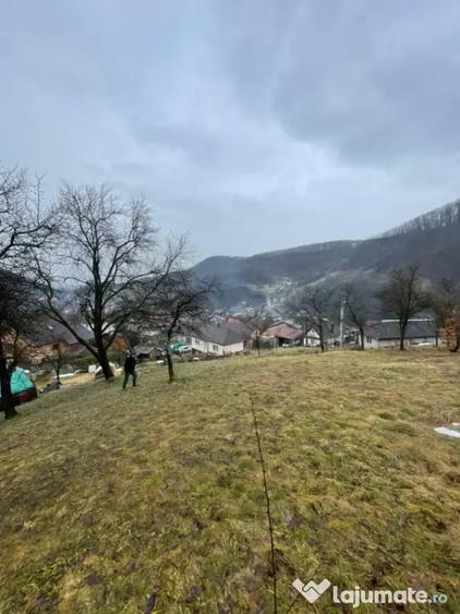 Casă cu 2 camere cu Teren 6000 Mp în Tăuții-Măgherăuș