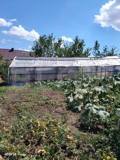 Casă cu 3 camere în Luna