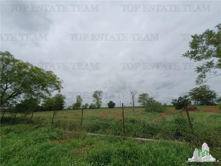 Casă individuală cu 3 camere cu Teren 5250 Mp în Casicea
