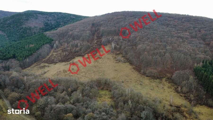 Teren de 5000 mp, în Malnaș