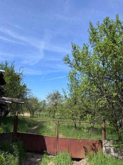 Casă individuală cu 5 camere cu Teren 3223 Mp în Josani (Măgești)