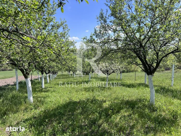 Casă cu 1 camere cu Teren 3000 Mp în Copăcel