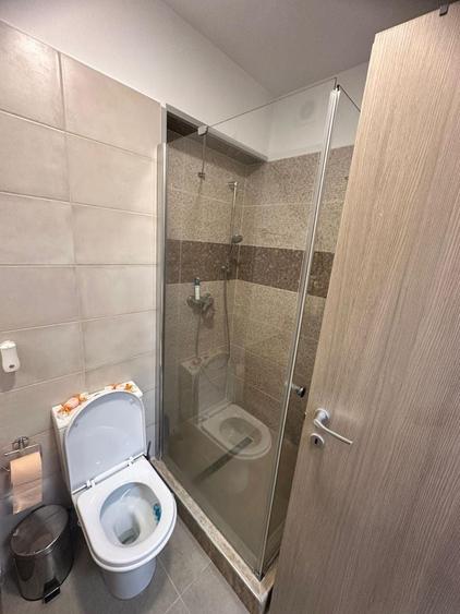 Apartament 2 camere de inchiriat - Grozavesti - 5