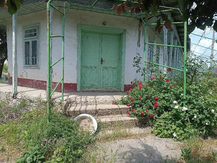 Casă cu 4 camere cu Teren 1490 Mp în Tămăoani