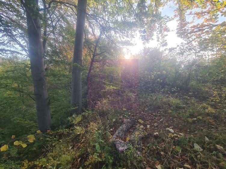 Teren agricol intravilan de 3092 mp, în Telega