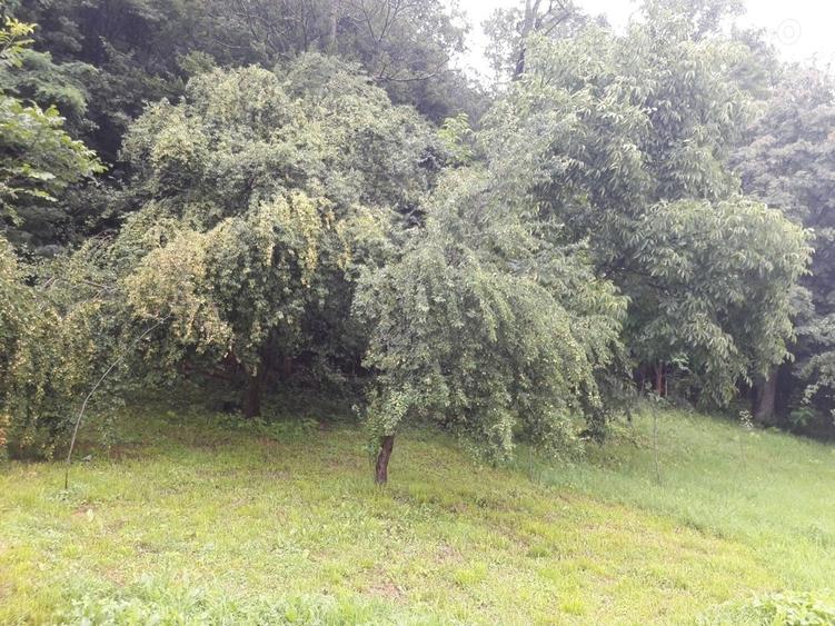 Teren în Central