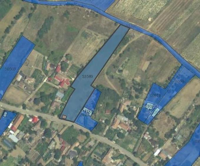 Teren de 3268 mp, în Burila Mare