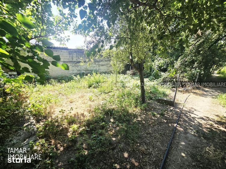 Casă cu 2 camere cu Teren 2382 Mp în Pârneava