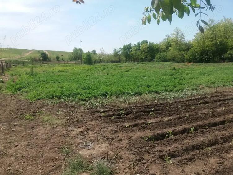 Teren de 3400 mp, în Central