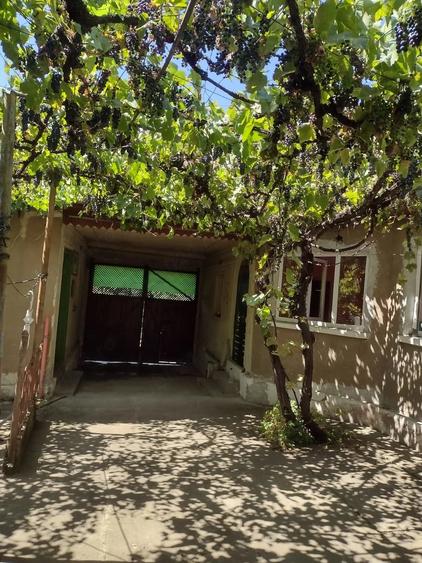 Casă cu 3 camere cu Teren 1000 Mp în Rogoz
