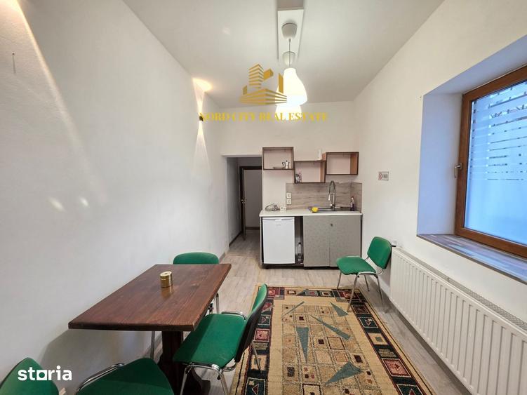 Casa P+1+M | Ultracentral Bd. Gheorghe Magheru - Romana - 11