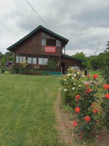 Casă individuală cu 5 camere cu Teren 6000 Mp în Urlueni