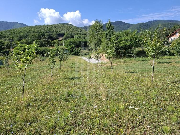 Teren Construcții intravilan de 650 mp, în Sadu