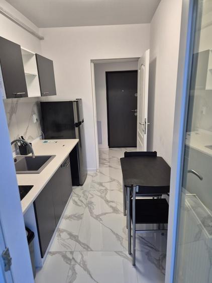 Inchiriez apartament cu gradina. Lunca cetatuii. Apartament 2 camere - 1