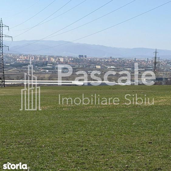 Teren de 2000 mp, în Roșia