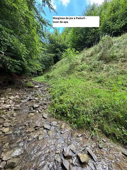 Teren de 35000 mp, în Parva