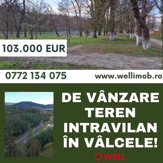 Teren Construcții intravilan de 3125 mp, în Vâlcele