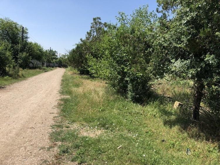 Teren agricol intravilan de 9795 mp, în Rădoiești