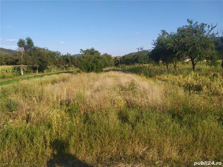 Teren de 2000 mp, în Brănișca