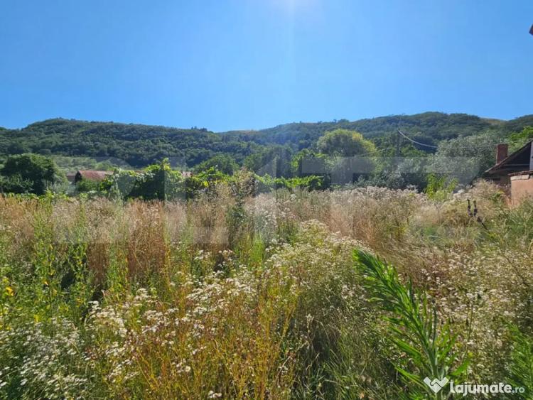 Casă cu 5 camere cu Teren 1249 Mp în Laz (Săsciori)