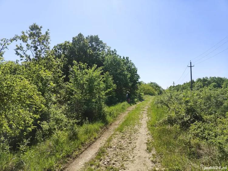 Teren de 4000 mp, în Mădulari