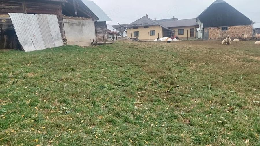Teren de 6900 mp, în Rotopănești