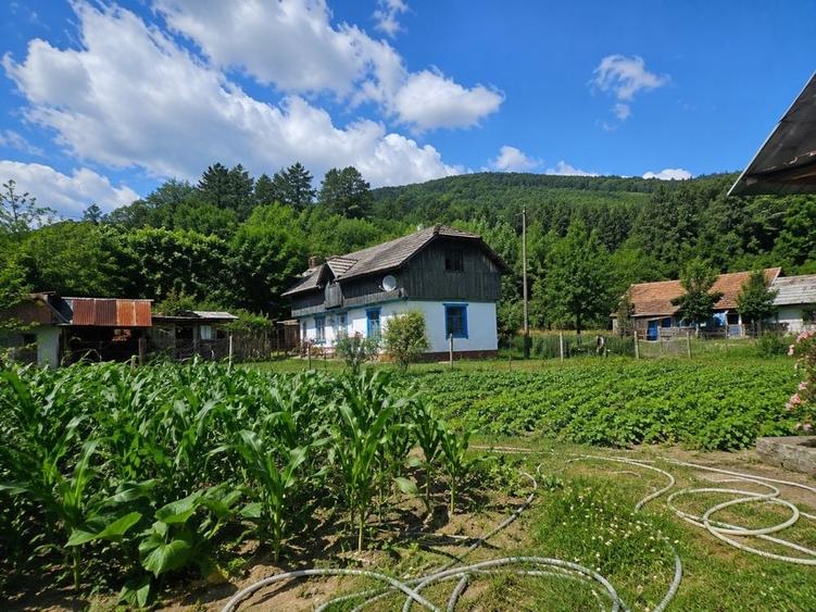 Casă cu 3 camere în Ferestrău-Oituz