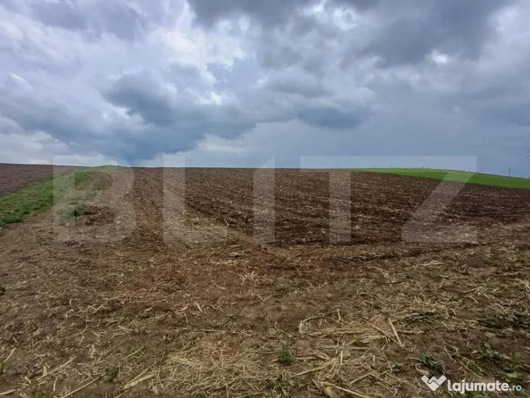 Teren în Central