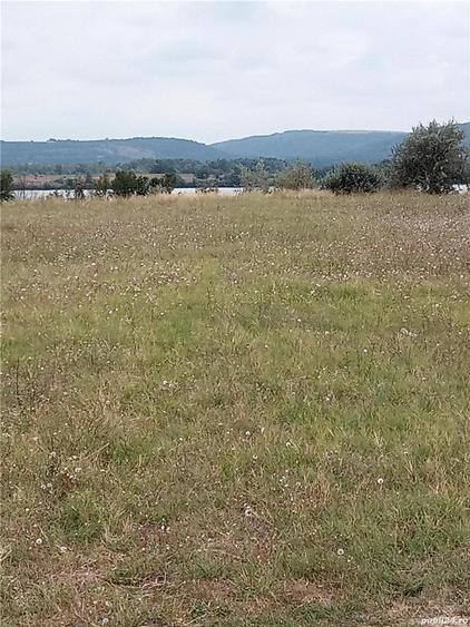 Teren de 2200 mp, în Moldova Veche