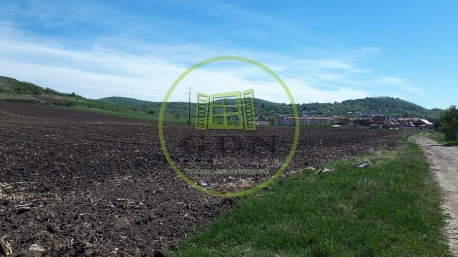 Teren agricol extravilan de 7720 mp, în Gușterița