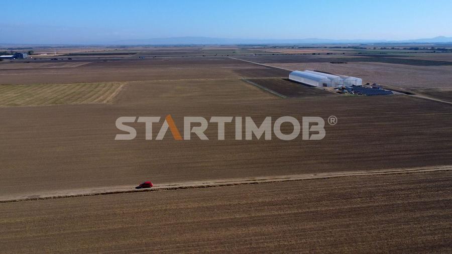 Teren agricol extravilan de 19739 mp, în Exterior Sud