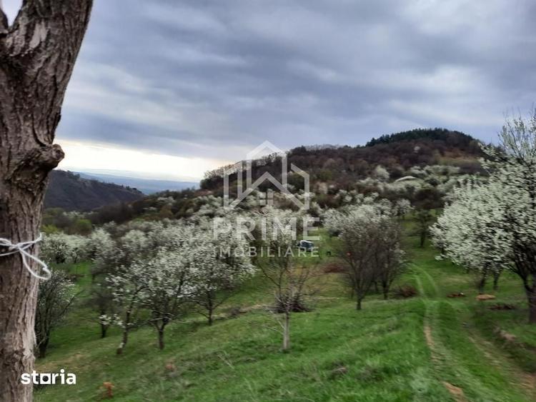 Teren de 13700 mp, în Vințu de Jos