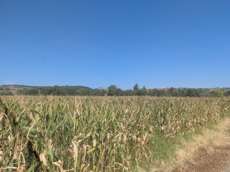 Spațiu comercial, în Valea