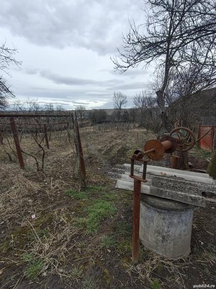 Casă cu 3 camere cu Teren 2394 Mp în Fărcășești