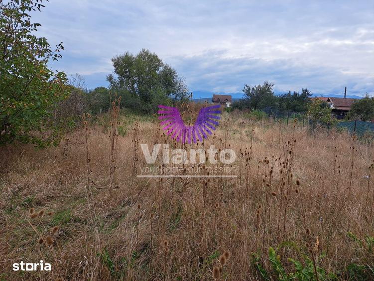 Casă cu 5 camere cu Teren 825 Mp în Roșia