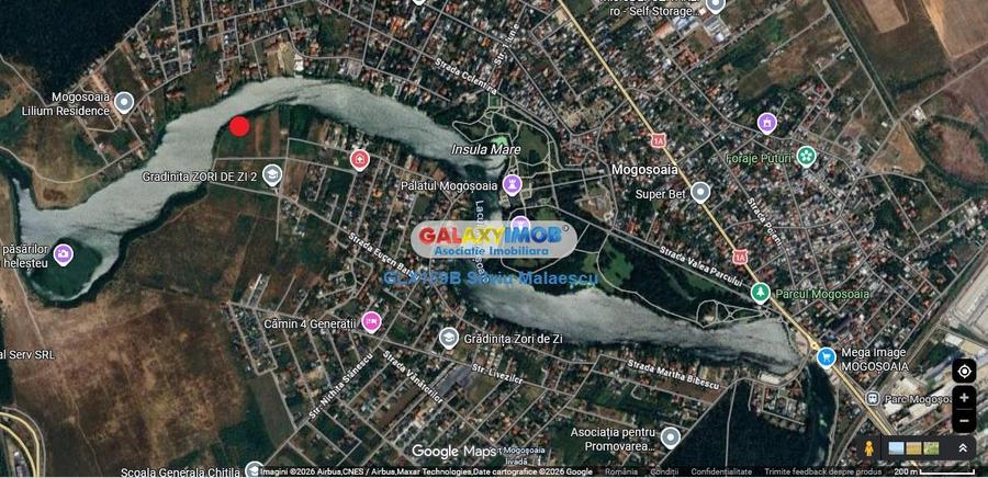 Teren Construcții intravilan de 2019 mp, în Mogoșoaia