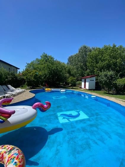 Casă individuală cu 9 camere cu Canalizare în Roșu