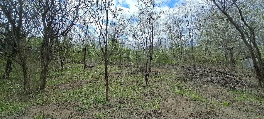 Casă cu Teren 2671 Mp în Plai