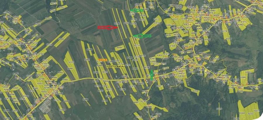 Teren de 5000 mp, în Bucșești
