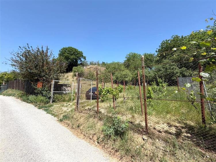 TEREN INTRAVILAN CU PIVNITA | 884 MP | ZONA EPISCOPIA | ORADEA - 10
