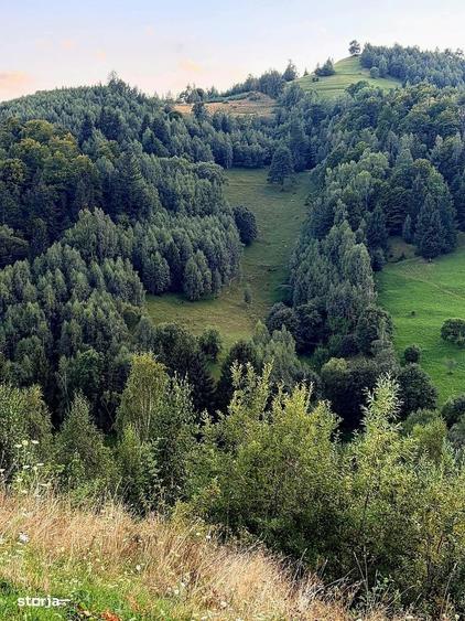 Teren investitie 8635 mp extravilan , Pestera Brasov - 14