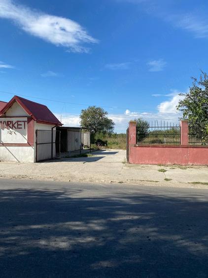 Casă cu 5 camere cu Teren 6700 Mp în Sintești