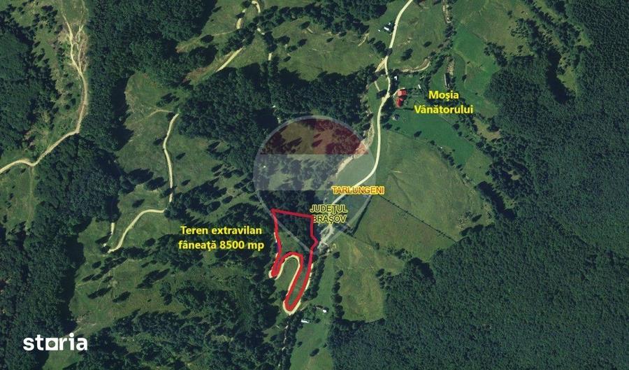 Teren de 8500 mp, în Tărlungeni