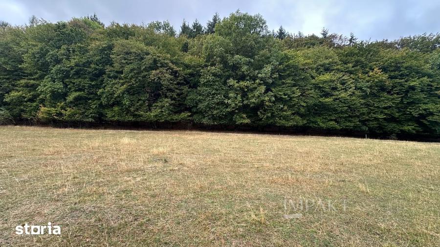Teren de 665 mp, în Baciu
