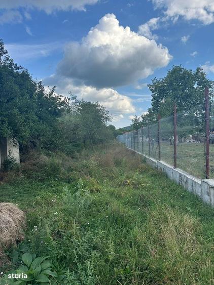 Casă cu 3 camere cu Teren 859 Mp în Brănești