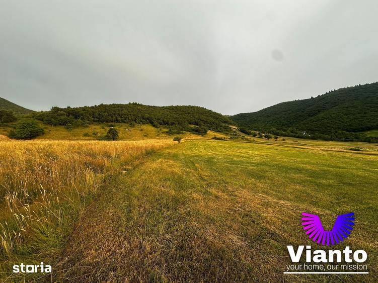 Oportunitate Teren Pt Investitie 3408mp in Gura Raului - 7