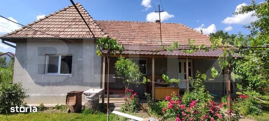 Casă cu 3 camere cu Teren 2323 Mp în Criș