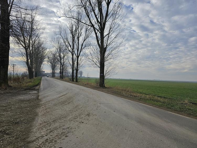 Teren Construcții de 16000 mp, în Afumați