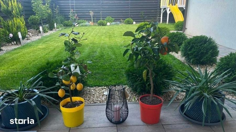 Bragadiru, casa individuala premium 4 camere - 6