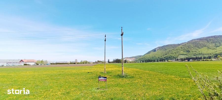 Teren de 8000 mp, în Bartolomeu
